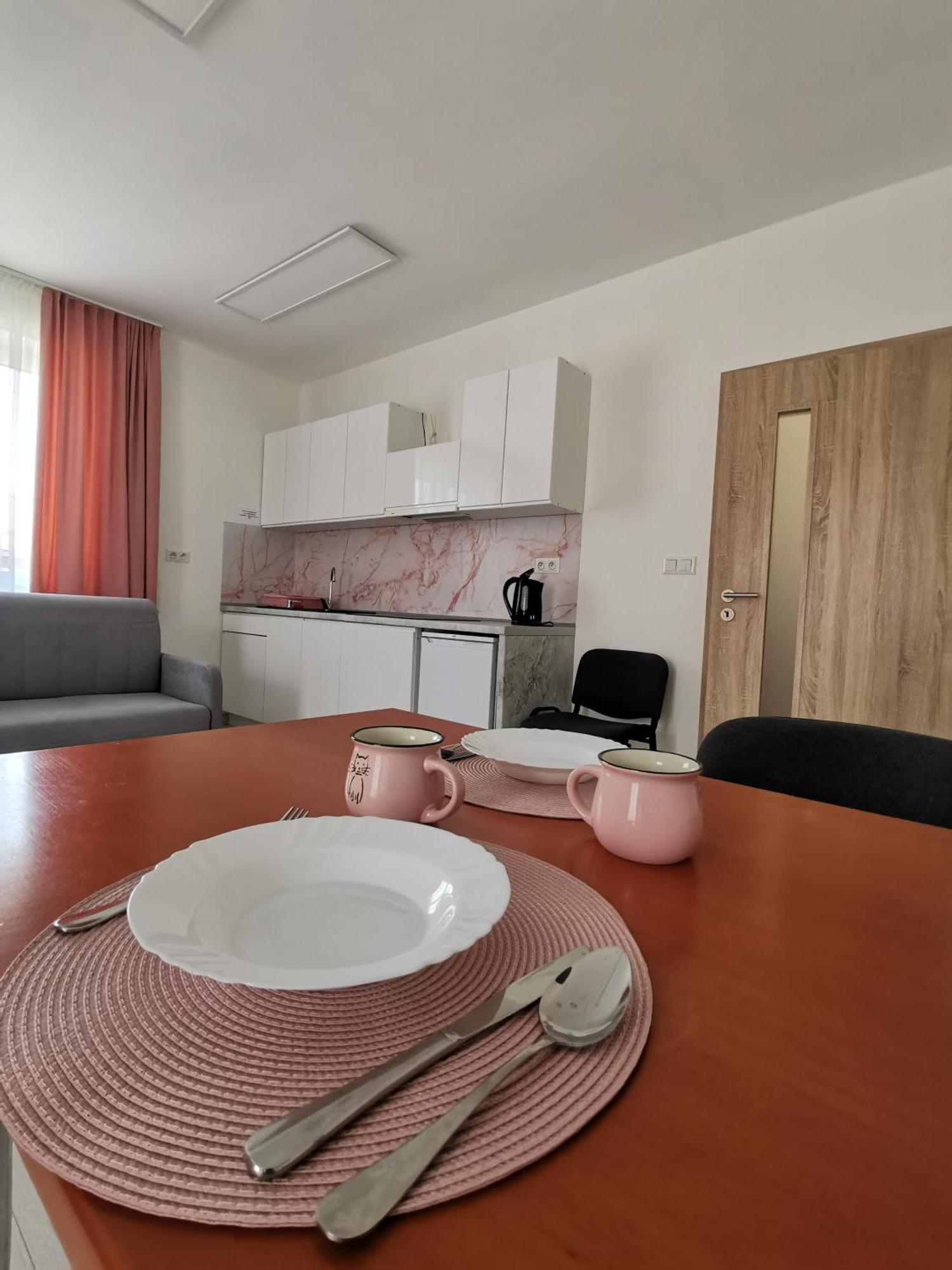 Comenius Apartments - Apartmany Na Rohu Svidnik Exteriér fotografie